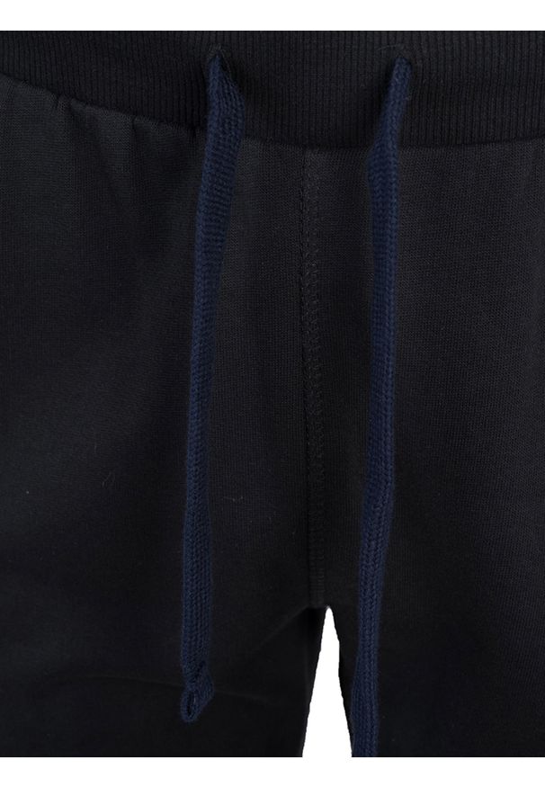 North Sails Spodnie | 90 3203 000 | Sweatpant W/Graphic | Mężczyzna | Czarny. Okazja: na co dzień. Kolor: czarny. Materiał: bawełna. Wzór: aplikacja, nadruk. Styl: casual