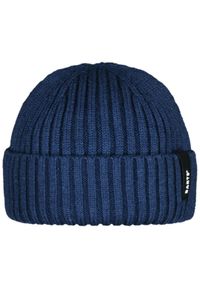 Czapka Barts Sumter. Kolor: niebieski. Materiał: poliester. Sezon: zima. Styl: sportowy #1