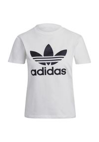 T-shirt sportowy damski Adidas Adicolor Classics Trefoil Tee. Kolor: biały. Materiał: elastan, bawełna #1