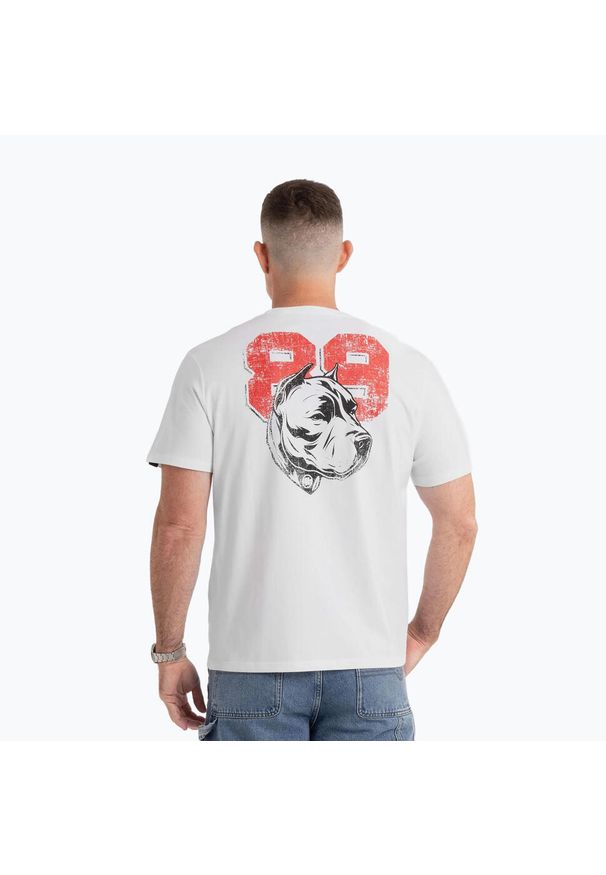 PITBULL - Koszulka Pitbull Dog 89. Kolor: biały