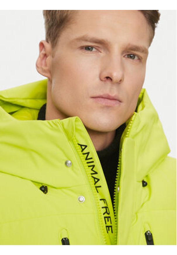 Save The Duck Kurtka zimowa P30811M SMEG19 Zielony Regular Fit. Kolor: zielony. Materiał: syntetyk. Sezon: zima