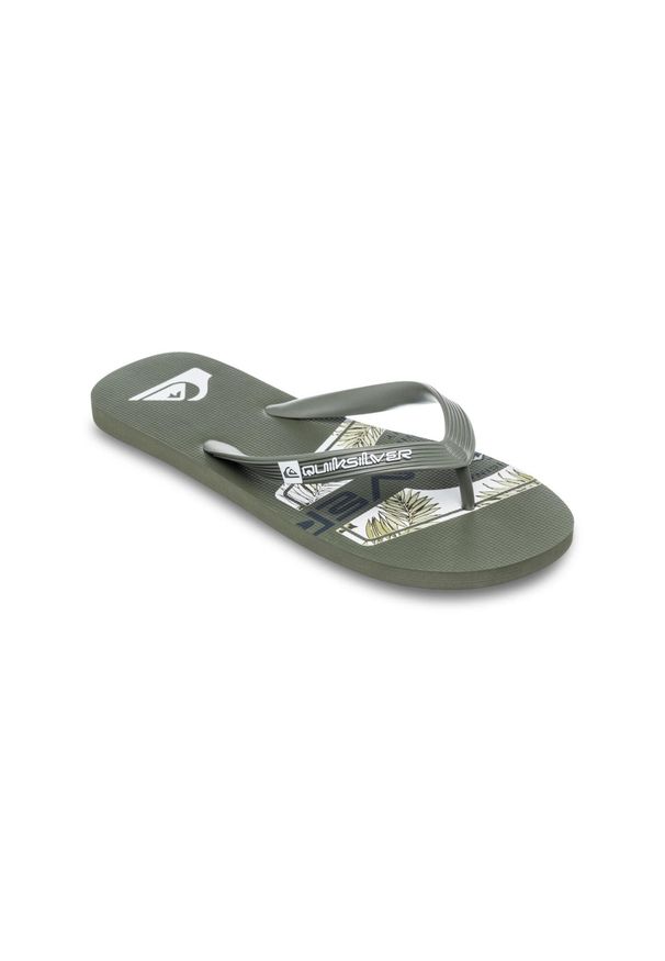 Quiksilver - Klapki plażowe dla Mężczyzn JAVA ART Brązowy. Okazja: na plażę. Kolor: brązowy. Materiał: guma. Styl: sportowy