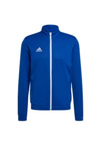 Adidas - Bluza piłkarska męska adidas Entrada 22 Track Jacket. Kolor: niebieski. Sport: piłka nożna