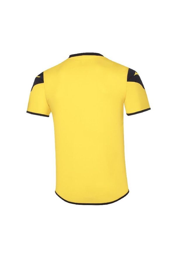 Koszulka dziecięca z krótkim rękawem Mizuno Team Game Runbird. Kolor: żółty, niebieski, wielokolorowy. Długość rękawa: krótki rękaw. Długość: krótkie