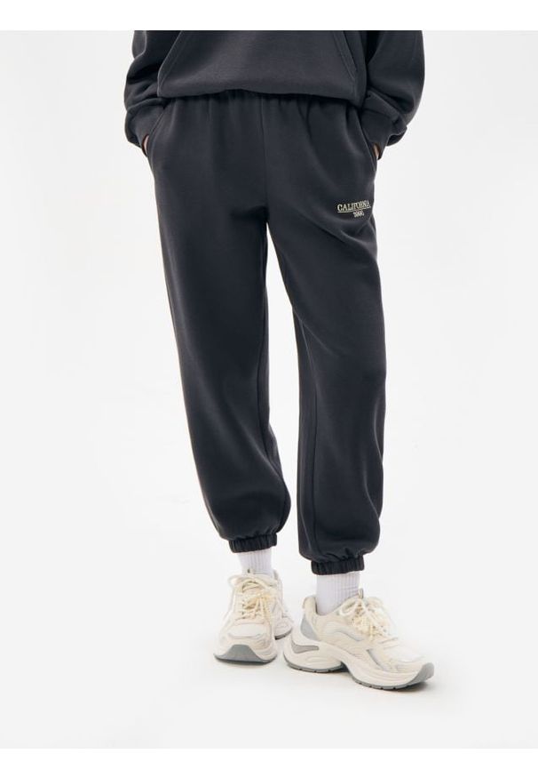 Sinsay - Spodnie dresowe jogger - szary. Kolor: szary. Materiał: dresówka