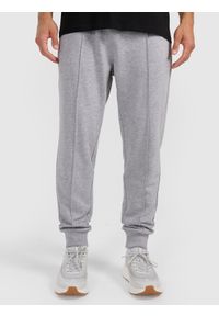 4f - 4F Spodnie dresowe joggery męskie - szare M. Kolor: szary. Materiał: dresówka. Sport: turystyka piesza, fitness #2