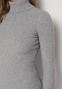 Born2be - Szara Dopasowana Sukienka z Prążkowanej Dzianiny z Golfem Seralinda. Okazja: na co dzień. Typ kołnierza: golf. Kolor: szary. Materiał: prążkowany, dzianina. Długość rękawa: długi rękaw. Styl: wizytowy, klasyczny, casual #6