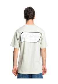 DC Shoes - Koszulka z krótkim rękawem dla Mężczyzn TIMELY Szary. Kolor: szary. Materiał: bawełna, jersey, dzianina. Długość rękawa: krótki rękaw. Długość: krótkie