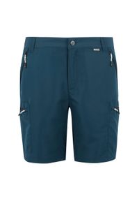 Regatta - Spodenki trekkingowe męskie Leesville. Kolor: niebieski. Materiał: materiał, poliester