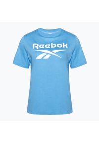 Reebok Fitness - Koszulka Reebok Identity Big Logo Tee. Kolor: niebieski. Sport: fitness #1