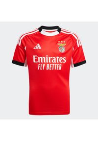 Adidas - Koszulka piłkarska dla dzieci Benfica 25/26 domowa. Sport: piłka nożna