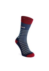 DARN TOUGH - Skarpety merino Darn Tough Wild Life Crew Lightweight with Cushion. Kolor: niebieski
