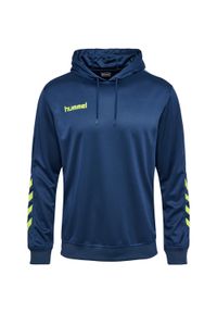 Bluza do piłki ręcznej męska Hummel hml PROMO Poly z kapturem. Typ kołnierza: kaptur. Kolor: brązowy, niebieski, wielokolorowy, żółty. Sport: piłka ręczna #1