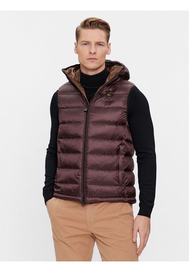 Blauer Bezrękawnik 23WBLUX03081 Brązowy Regular Fit. Kolor: brązowy. Materiał: syntetyk. Długość rękawa: bez rękawów