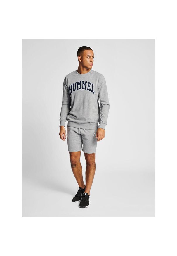 Bluza Hummel Ic Bill. Kolor: szary. Sport: fitness