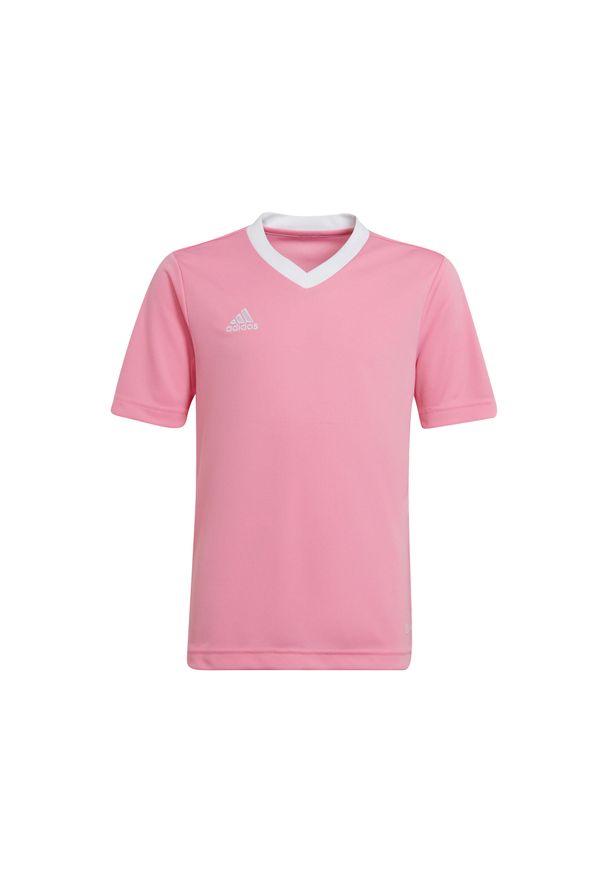 Adidas - Koszulka piłkarska dla dzieci adidas Entrada 22 Jersey. Kolor: różowy. Materiał: jersey. Sport: piłka nożna