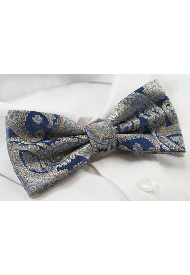 Mucha Męska z Poszetką w Zestawie - Alties - Niebieska, Duże Paisley. Kolor: niebieski. Wzór: paisley. Styl: sportowy, elegancki