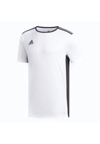 Adidas - Koszulka piłkarska Entrada. Materiał: materiał. Technologia: ClimaLite (Adidas). Sport: piłka nożna
