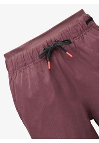 Spodenki wspinaczkowe damskie Black Diamond Sequence Shorts. Kolor: brązowy