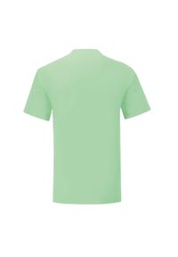 FRUIT OF THE LOOM - Męska Koszulka Iconic 150. Kolor: zielony. Sport: turystyka piesza