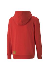 Bluza z kapturem Puma Hoodie, Dzieci. Typ kołnierza: kaptur. Kolor: czerwony. Materiał: materiał, bawełna