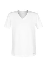 Bawełniana Męska koszulka Fila FU5001-300. Kolor: biały. Materiał: bawełna #1