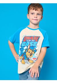 Sinsay - Koszulka PAW Patrol - niebieski. Kolor: niebieski. Materiał: bawełna. Długość rękawa: krótki rękaw. Długość: krótkie. Wzór: nadruk