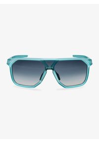 Okulary przeciwsłoneczne Dynafit Traverse Sunglasses - puritan grey/blueberry. Kolor: zielony