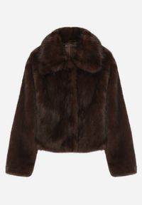 Born2be - Brązowa Krótka Kurtka Futerko z Kołnierzem Anantia. Okazja: do pracy, na co dzień, na randkę. Kolor: brązowy. Materiał: futro. Długość: krótkie. Styl: casual #2