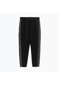 PITBULL - Spodnie męskie Pitbull Track Pants Powers. Kolor: czarny. Sport: fitness