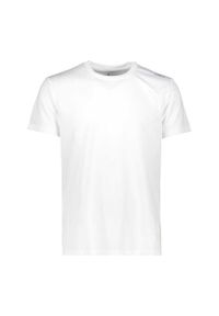 Koszulka CMP. Kolor: wielokolorowy, szary, biały. Sport: turystyka piesza #1