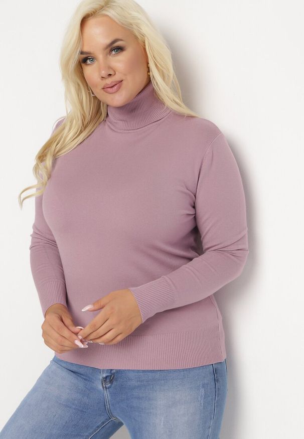 Born2be - Różowy Sweter z Golfem Sazerna w Składzie Wiskoza i Modal. Typ kołnierza: golf. Kolor: różowy. Materiał: wiskoza. Długość rękawa: długi rękaw. Długość: długie. Wzór: gładki. Sezon: zima, jesień