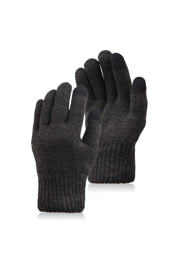 Rękawiczki męskie PAOLO PERUZZI BR-08-GR szare. Kolor: szary. Materiał: materiał. Sezon: jesień, zima