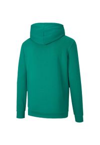 Bluza Puma TeamGoal 23 Casuals męska. Kolor: zielony