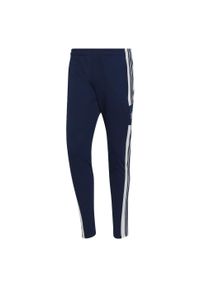 Adidas - Spodnie piłkarskie męskie adidas Squadra 21 Training Pant. Kolor: niebieski, wielokolorowy, biały. Sport: piłka nożna