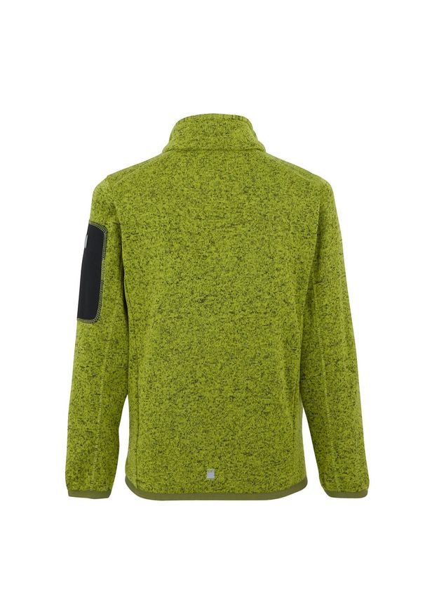 Regatta - Kurtka Dziecięca Newhill Fleece Jacket. Kolor: zielony. Sezon: zima