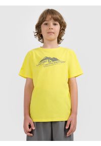 4f - 4F T-shirt regular z nadrukiem chłopięcy - pomarańczowy 128 (7-8 lat). Okazja: na co dzień, na uczelnię. Kolor: żółty. Materiał: materiał, dresówka, bawełna, skóra, jeans. Wzór: nadruk. Sezon: lato. Styl: casual, klasyczny #1