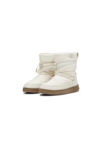 Buty damskie Puma Snowbae Wns. Kolor: czarny. Sport: bieganie