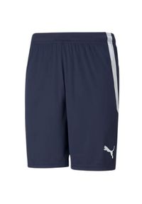 Puma - Męskie Spodenki TeamLIGA. Kolor: niebieski. Sport: turystyka piesza