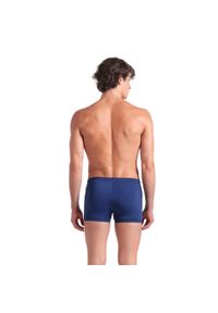 Arena - Szorty Kąpielowe Poseidonia Swim Short. Kolor: niebieski