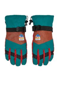 Viking Rękawice narciarskie Brother Louis Ski 110/24/6226 Kolorowy. Materiał: poliester, materiał. Wzór: kolorowy. Sport: narciarstwo #1