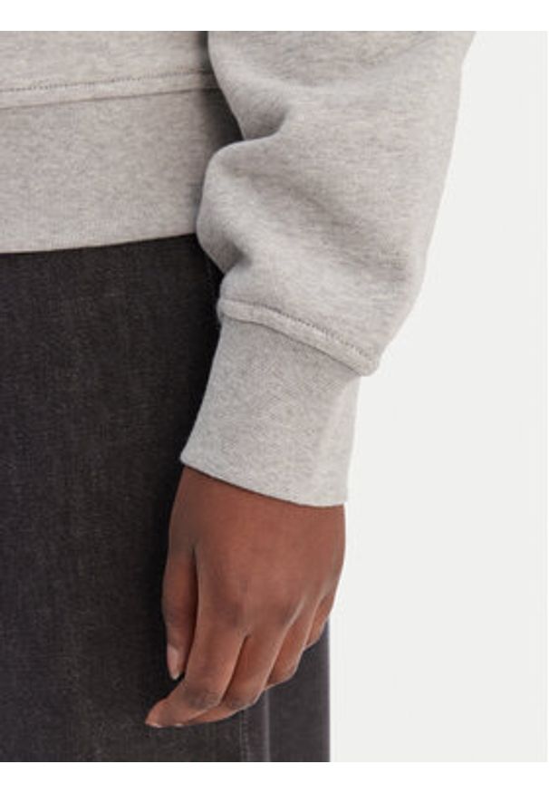 Calvin Klein Jeans Bluza LV047C224G Szary Regular Fit. Kolor: szary. Materiał: bawełna