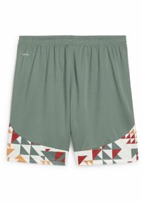 Puma - Męskie szorty Palermo F.C. 24/25 PUMA Eucalyptus Green. Kolor: biały, wielokolorowy, zielony