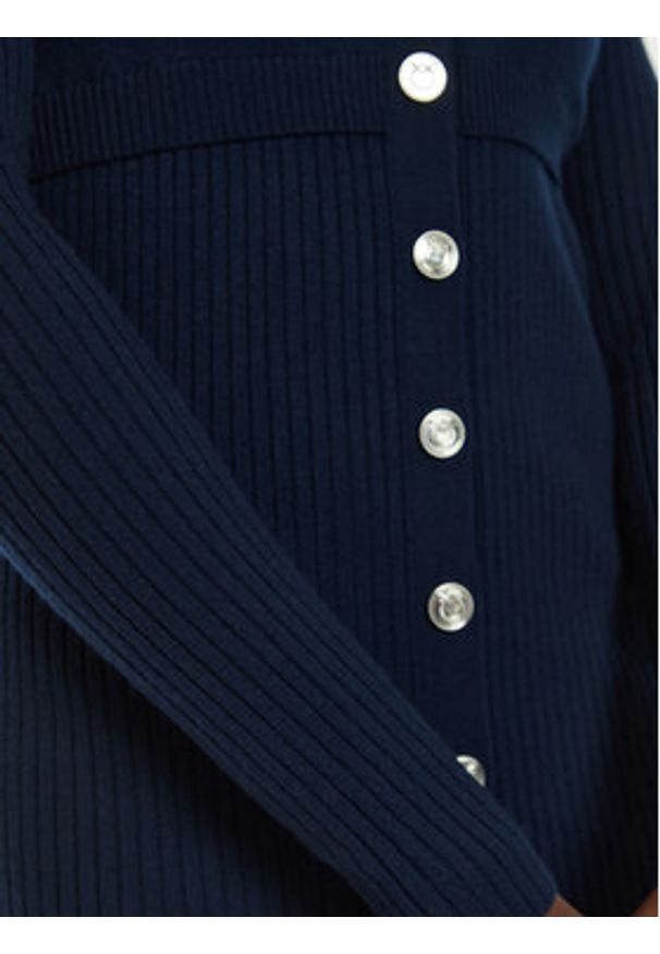 Pinko Sukienka dzianinowa Riserva 104017 A15S Granatowy Regular Fit. Kolor: niebieski. Materiał: wełna