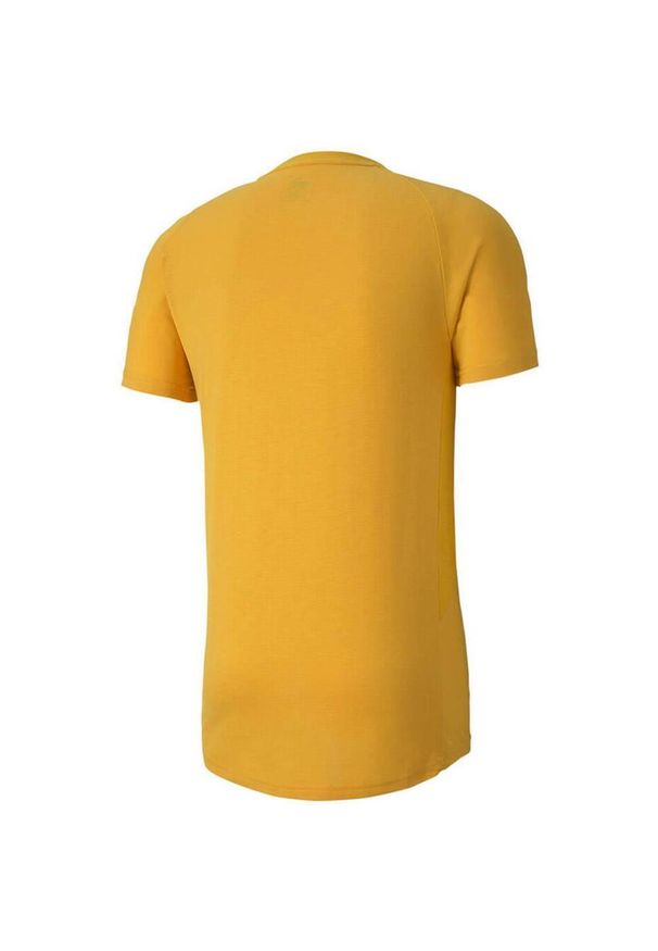 Puma - T-shirt Męski Evostripe Lite. Kolor: żółty