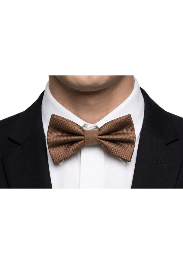 Mucha Męska w Zestawie z Poszetką - Alties - Jasny Brąz. Kolor: wielokolorowy, brązowy, beżowy. Styl: elegancki, sportowy
