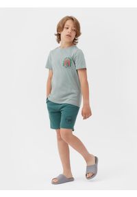 4F JUNIOR - T-shirt z nadrukiem chłopięcy. Kolor: zielony. Materiał: bawełna. Wzór: nadruk