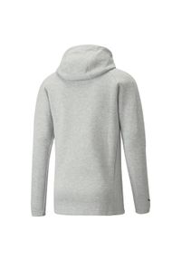 Bluza z kapturem Puma Teamfinal Casuals Hooded Jkt, Mężczyźni. Typ kołnierza: kaptur. Kolor: szary. Materiał: bawełna, materiał. Sport: piłka nożna