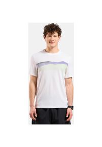 Koszulka męska z krótkim rękawem Odlo F-DRY RIDGELINE T-shirt. Kolor: biały. Długość rękawa: krótki rękaw. Długość: krótkie. Sport: turystyka piesza