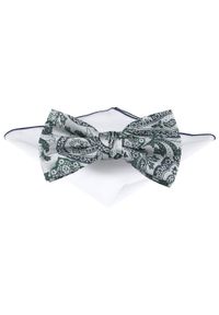 Mucha Męska z Poszetką - Chattier - Srebrna z Odcieniami Zieleni. Kolor: srebrny, wielokolorowy, zielony. Styl: elegancki, sportowy #1